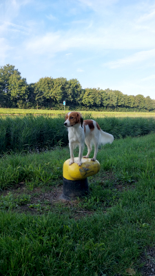 Letisha vom Torfmoorsee
